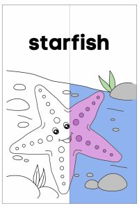 Animals Habitat Coloring Book | Page ARC