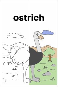 Animals Habitat Coloring Book | Page ARC